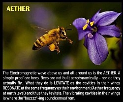 Bees don’t fly. They levitate