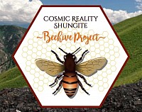 Shungite Bee Hive Project