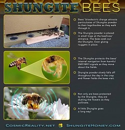 ShungiteHoney.com