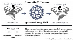 Shungite EMF